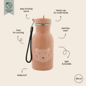 Stainless Steel Bottle 350 ml – Mrs Cat