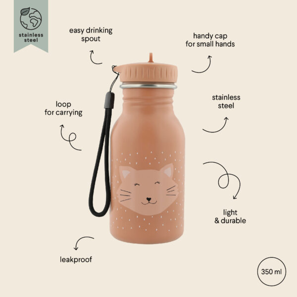 Stainless Steel Bottle 350 ml – Mrs Cat