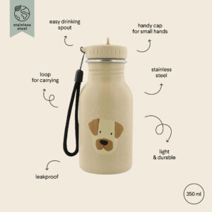 Stainless Steel Bottle 350 ml – Mr Dog