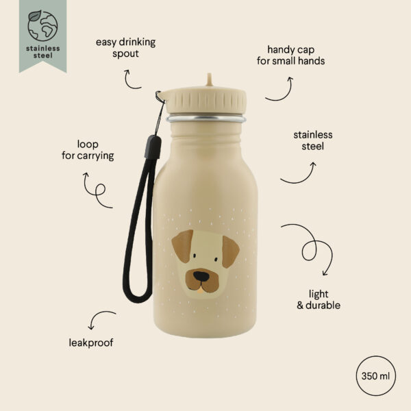 Stainless Steel Bottle 350 ml – Mr Dog