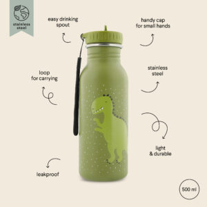 Stainless Steel Bottle 500 ml – Mr Dino