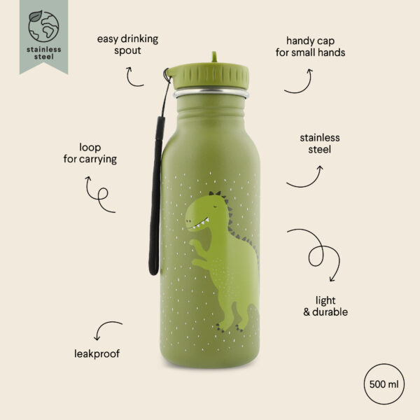 Stainless Steel Bottle 500 ml – Mr Dino