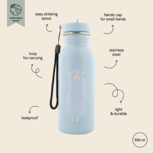 Stainless Steel Bottle 500 ml – Mr Alpaca