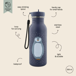 Stainless Steel Bottle 500 ml – Mr Penguin
