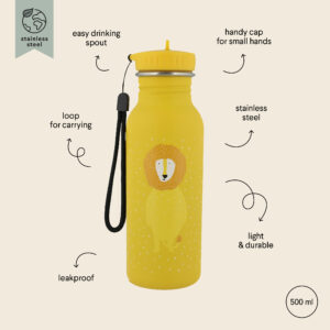 Stainless Steel Bottle 500 ml – Mr Lion