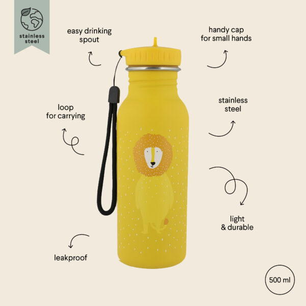 Stainless Steel Bottle 500 ml – Mr Lion