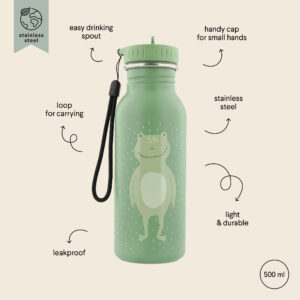 Stainless Steel Bottle 500 ml – Mr Frog