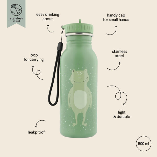 Stainless Steel Bottle 500 ml – Mr Frog
