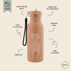 Stainless Steel Bottle 500 ml – Mrs Cat