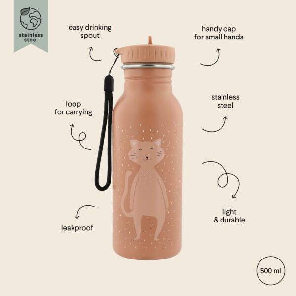 Stainless Steel Bottle 500 ml – Mrs Cat