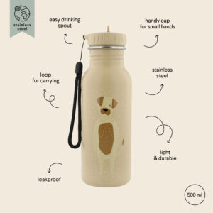 Stainless Steel Bottle 500 ml – Mr Dog