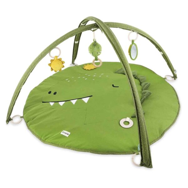 Activity Play Mat with Arches – Mr Dino