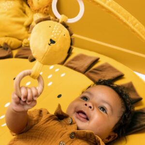 Activity Play Mat with Arches – Mr. Lion