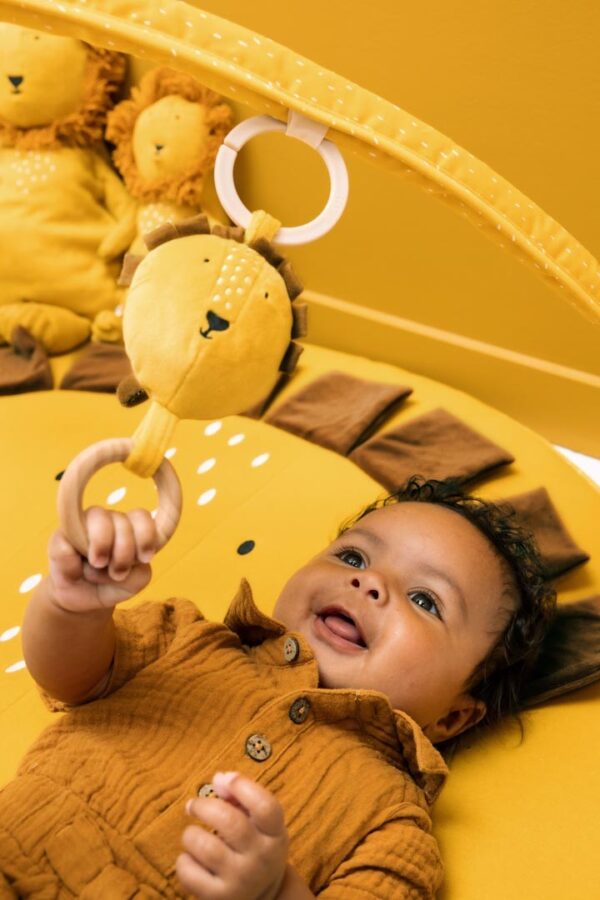 Activity Play Mat with Arches – Mr. Lion