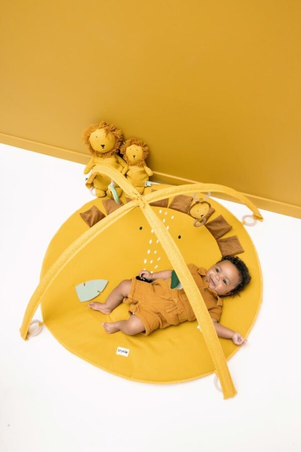 Activity Play Mat with Arches – Mr. Lion