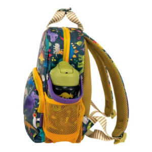Dinosaur Backpack