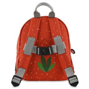 Backpack – Mr. Parrot