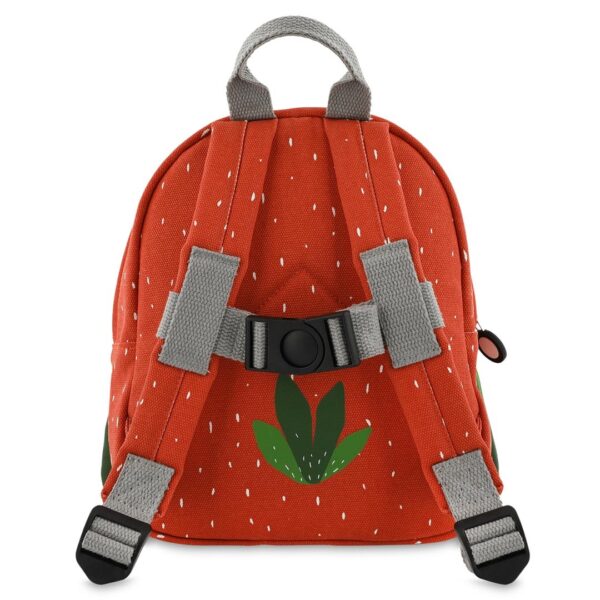 Backpack – Mr. Parrot