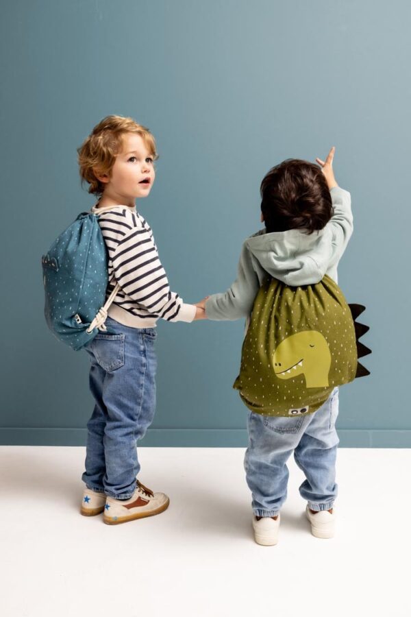 Drawstring Bag – Mr. Dino