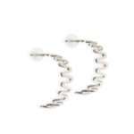 Earrings Vena