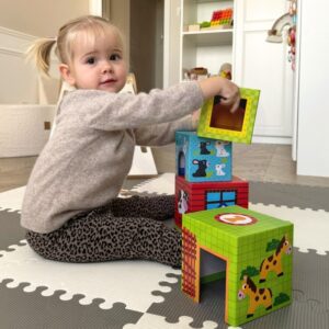 Farm in Boxes Cube Puzzle