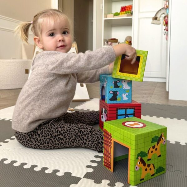 Farm in Boxes Cube Puzzle