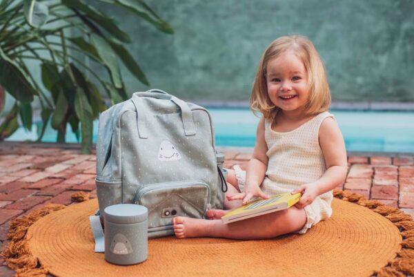 Insulated Lunch Pot 500ml – Mr. Shark