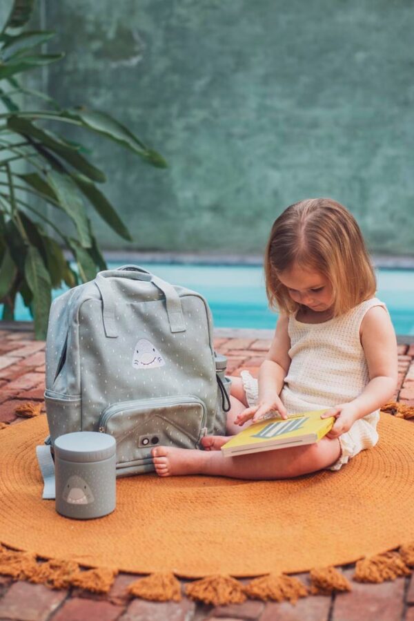 Insulated Lunch Pot 500ml – Mr. Shark