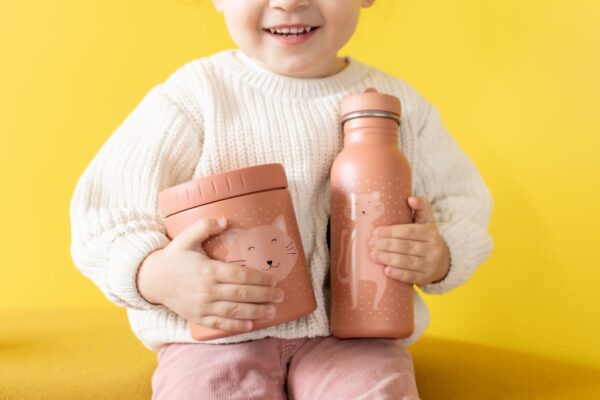 Insulated Lunch Pot 500ml – Mrs. Cat