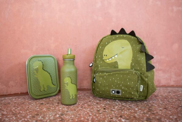 Large Lunch Box – Mr. Dino