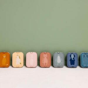 Large Lunch Box – Mr. Lion
