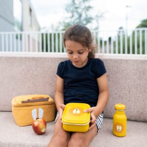 Small Lunch Box – Mr. Lion