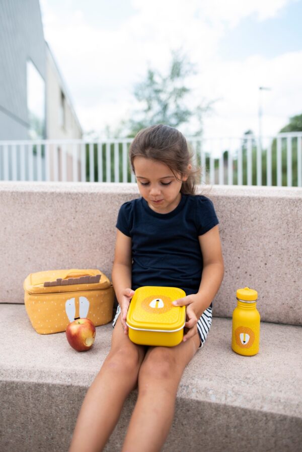 Small Lunch Box – Mr. Lion