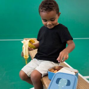 Large Lunch Box – Mrs. Elephant