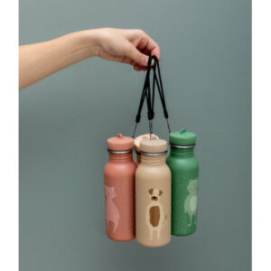 Stainless Steel Bottle 500 ml – Mr Dog