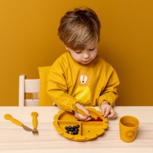 Silicone Divided Suction Plate for Kids – Mr. Lion