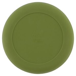 Silicone Plate – Mr. Dino