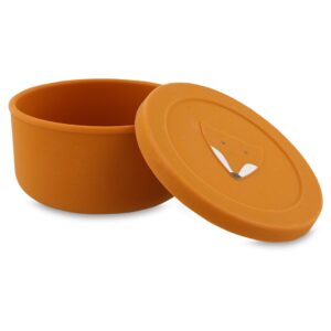 Silicone Snack Container with Lid – Mr. Fox