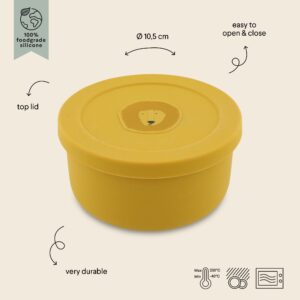 Silicone Snack Container with Lid – Mr. Lion
