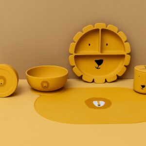 Silicone Snack Container with Lid – Mr. Lion