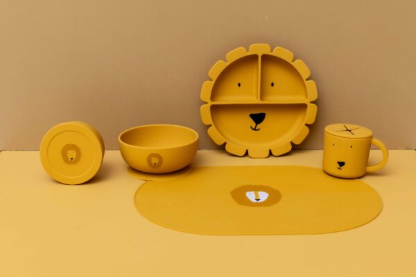 Silicone Snack Container with Lid – Mr. Lion