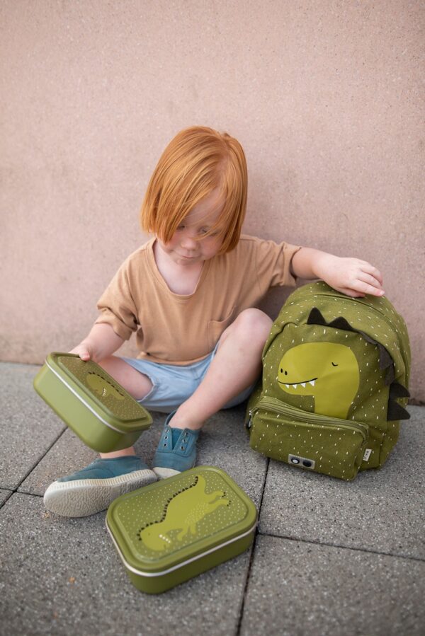 Small Lunch Box – Mr. Dinosaur