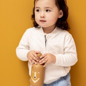 Stainless Steel Bottle 350 ml – Mr. Bear