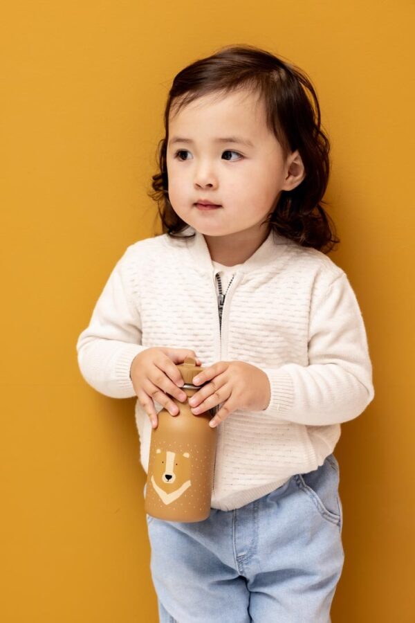 Stainless Steel Bottle 350 ml – Mr. Bear