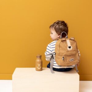 Stainless Steel Bottle 350 ml – Mr. Bear