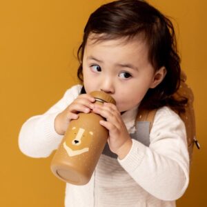 Stainless Steel Bottle 350 ml – Mr. Bear