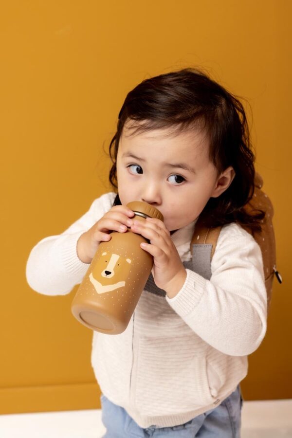 Stainless Steel Bottle 350 ml – Mr. Bear