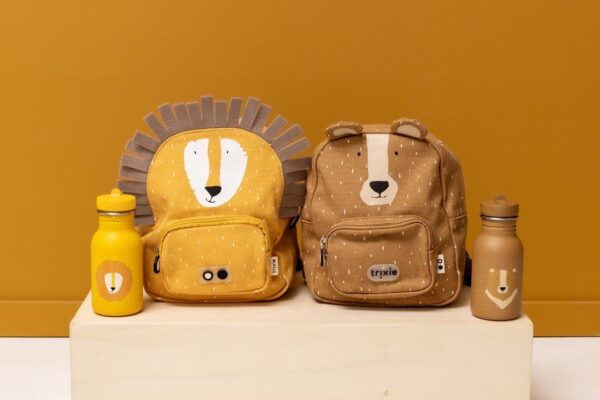 Stainless Steel Bottle 350 ml – Mr. Bear