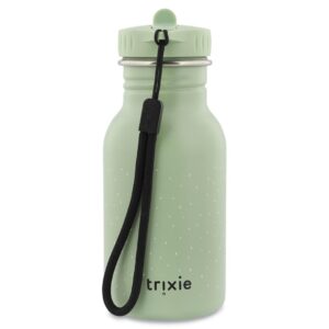 Stainless Steel Bottle 350 ml – Mr. Dragon