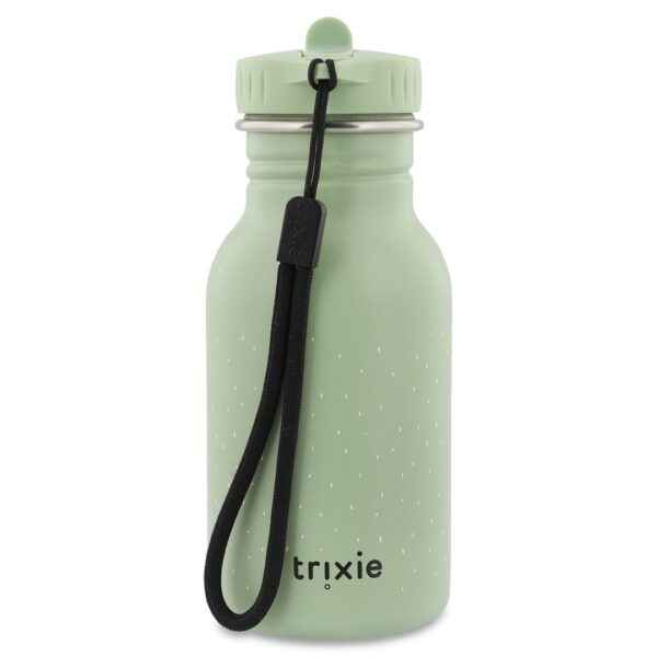 Stainless Steel Bottle 350 ml – Mr. Dragon